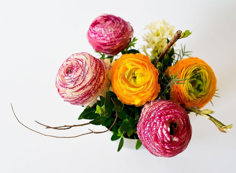 Colorful Arrangements